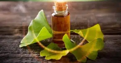 Extrato de Gingko Biloba e seu benefício na saúde mental