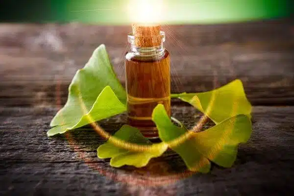 Extrato de Gingko Biloba e seu benefício na saúde mental